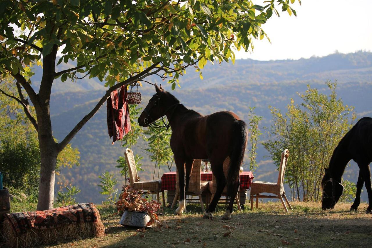 Lost Ridge Inn, Brewery & Ranch Сигнахи Экстерьер фото