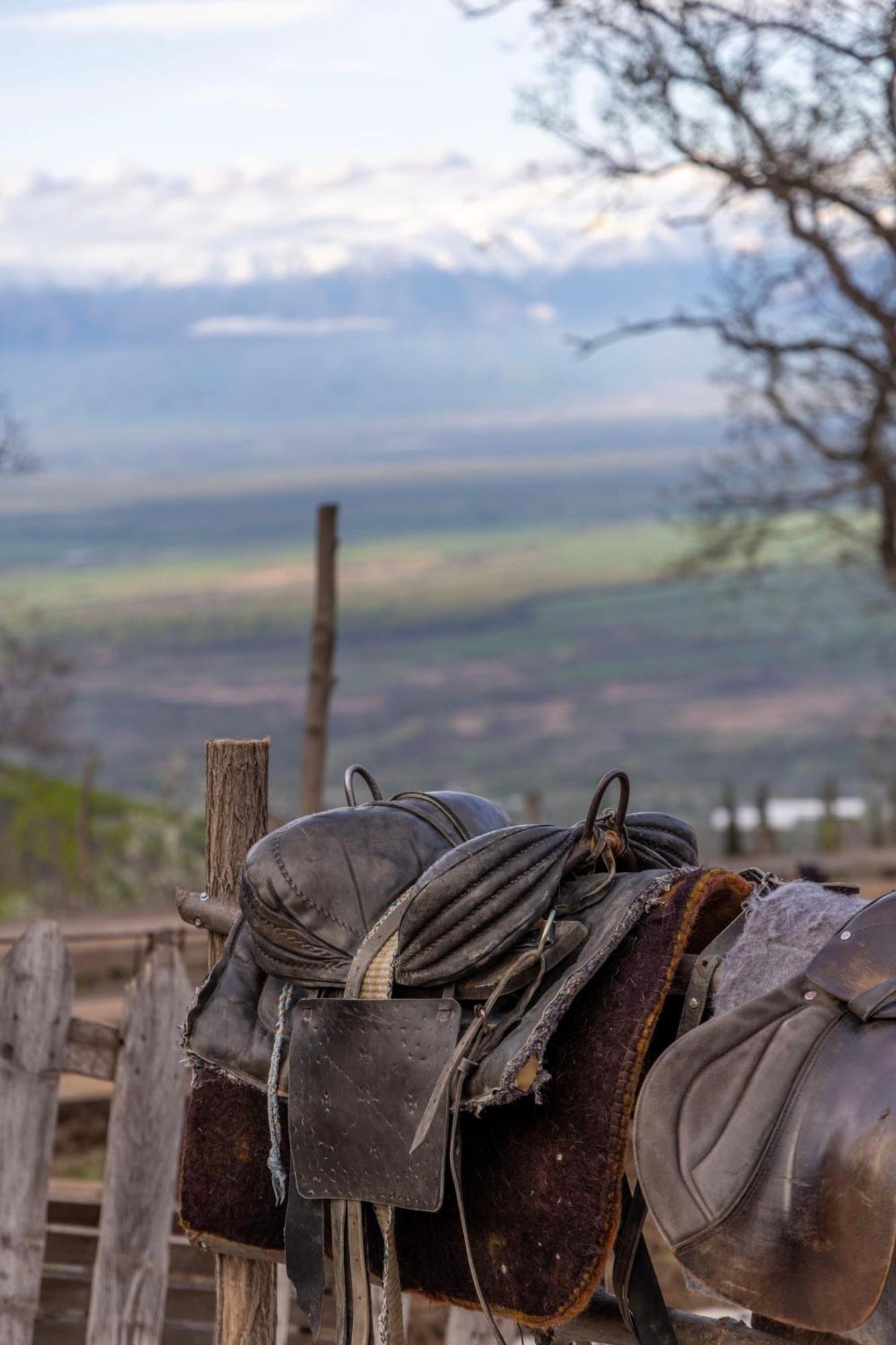 Lost Ridge Inn, Brewery & Ranch Сигнахи Экстерьер фото